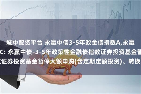 城中配资平台 永赢中债3-5年政金债指数A,永赢中债3-5年政金债指数C: 永赢中债-3-5年政策性金融债指数证券投资基金暂停大额申购(含定期定额投资)、转换转入业务的公告