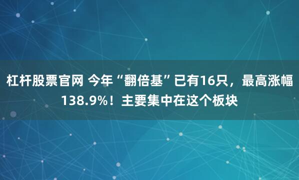 杠杆股票官网 今年“翻倍基”已有16只，最高涨幅138.9%！主要集中在这个板块